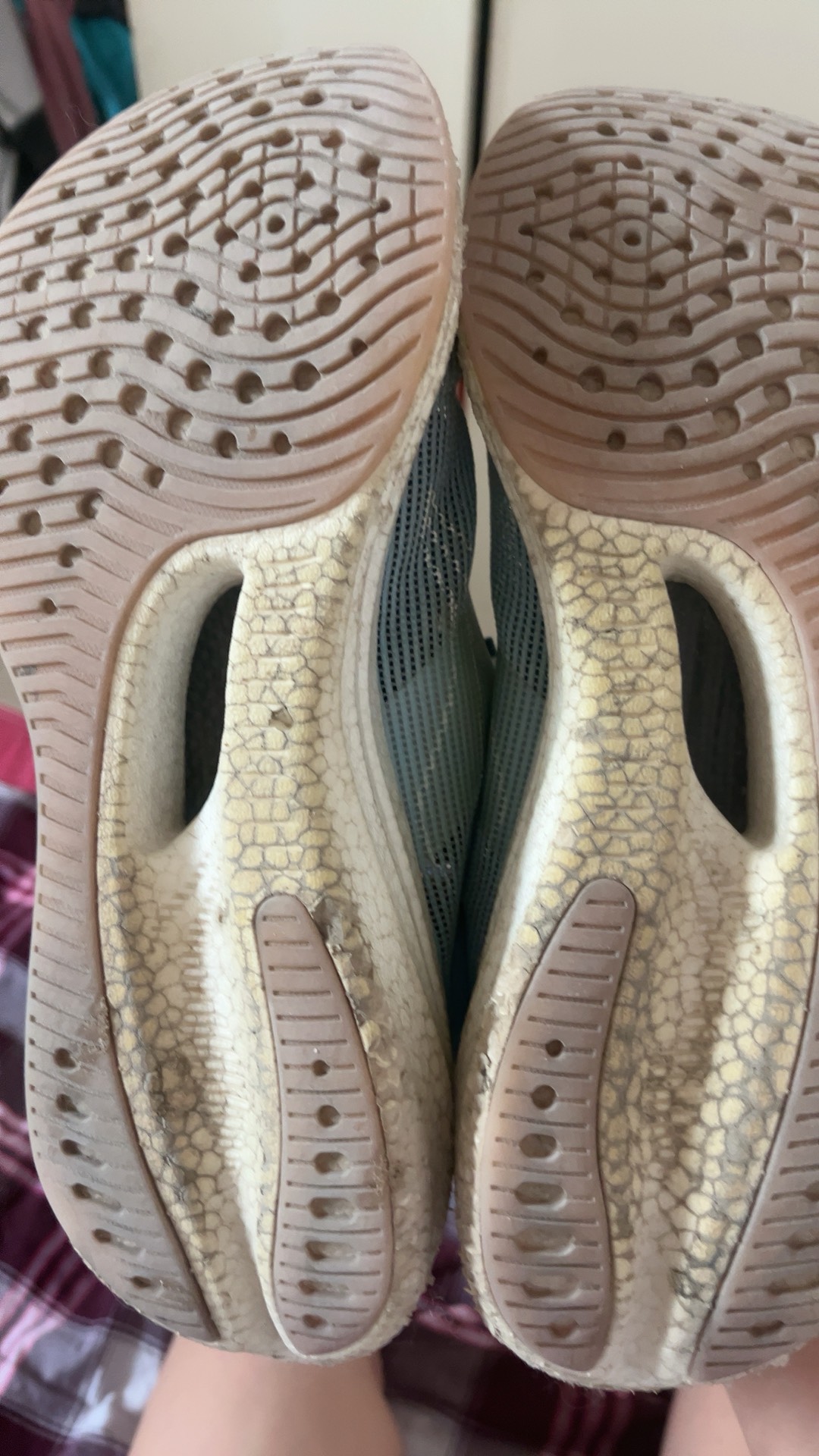 ?,壀鄎腱(髌腱是什么部位延续而成)-kaiyun官方入口